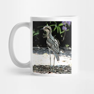 Bush stone curlew Mug